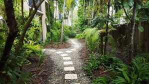 A narrow pathway with stepping stones leading through a lush garden area with dense foliage and trees. - Nautilus Holiday Apartments (Port Douglas)