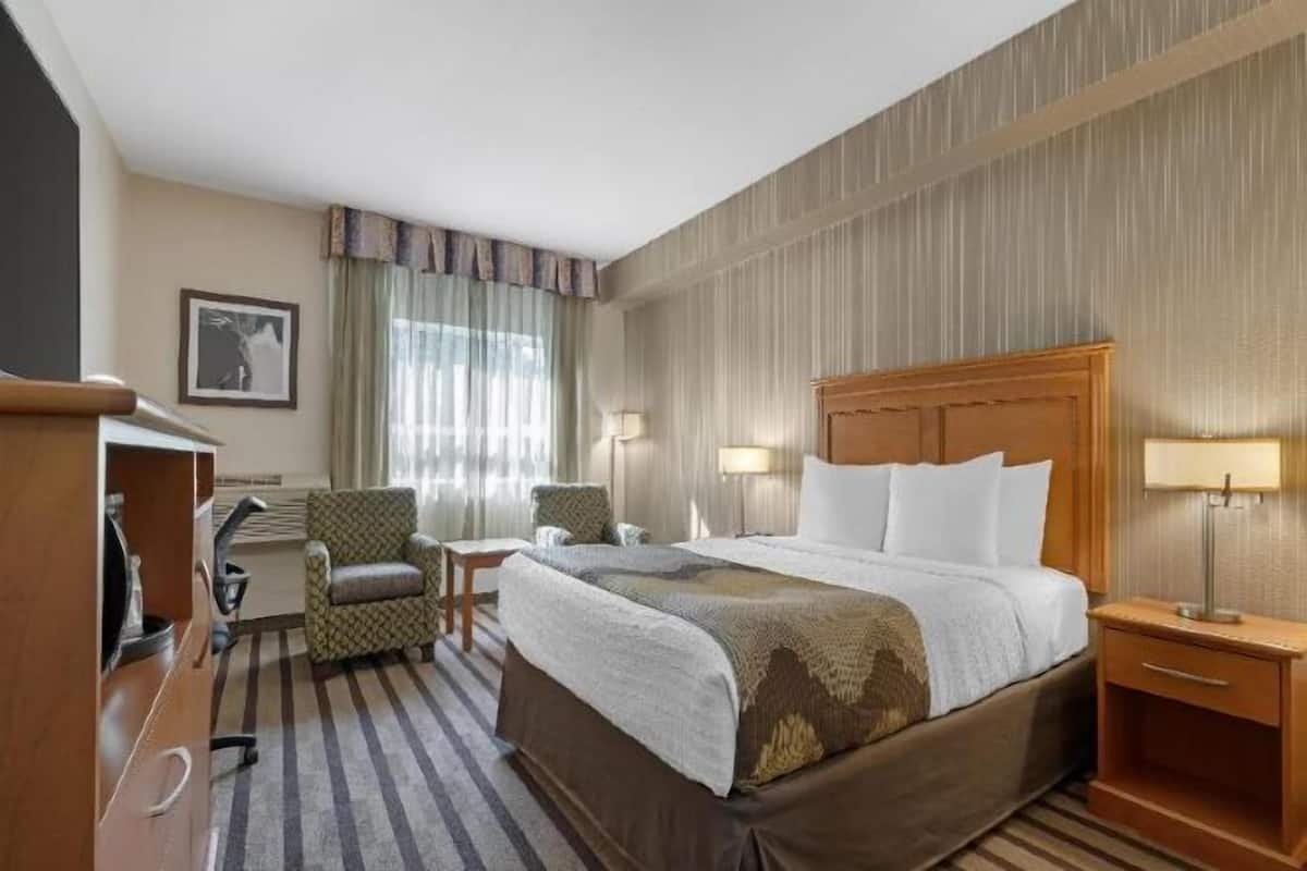 Desk, iron/ironing board, free WiFi, bed sheets