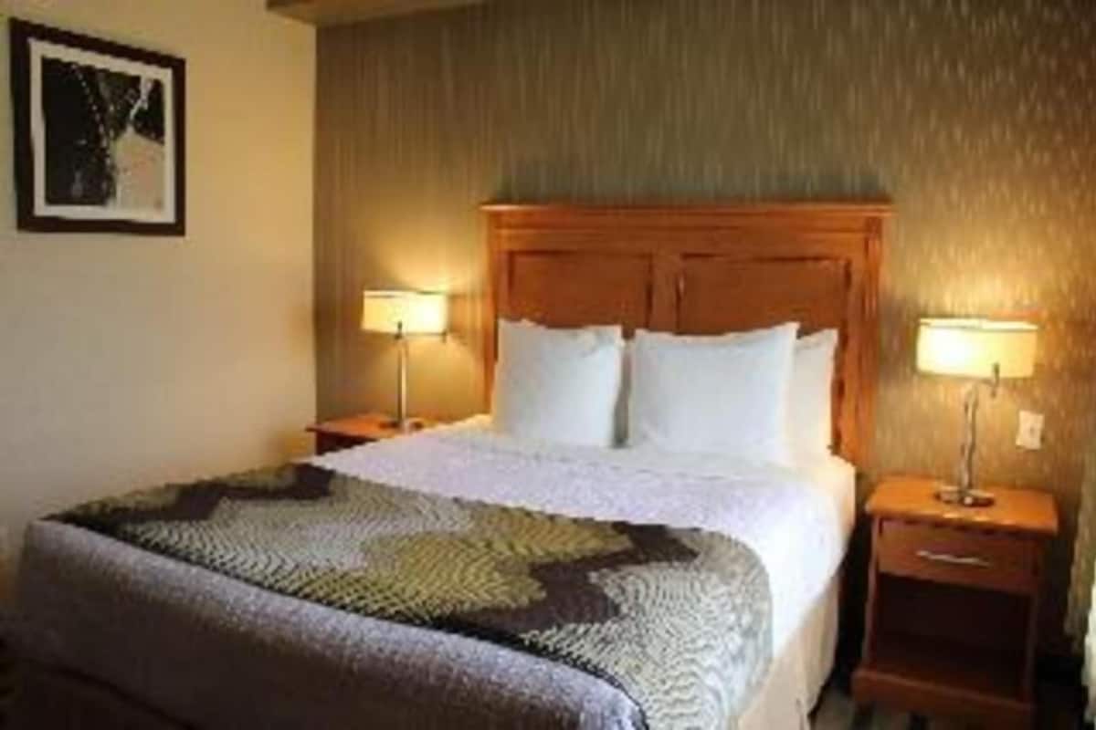 Escrivaninha, ferros/tábuas de passar roupa, Wi-Fi de cortesia