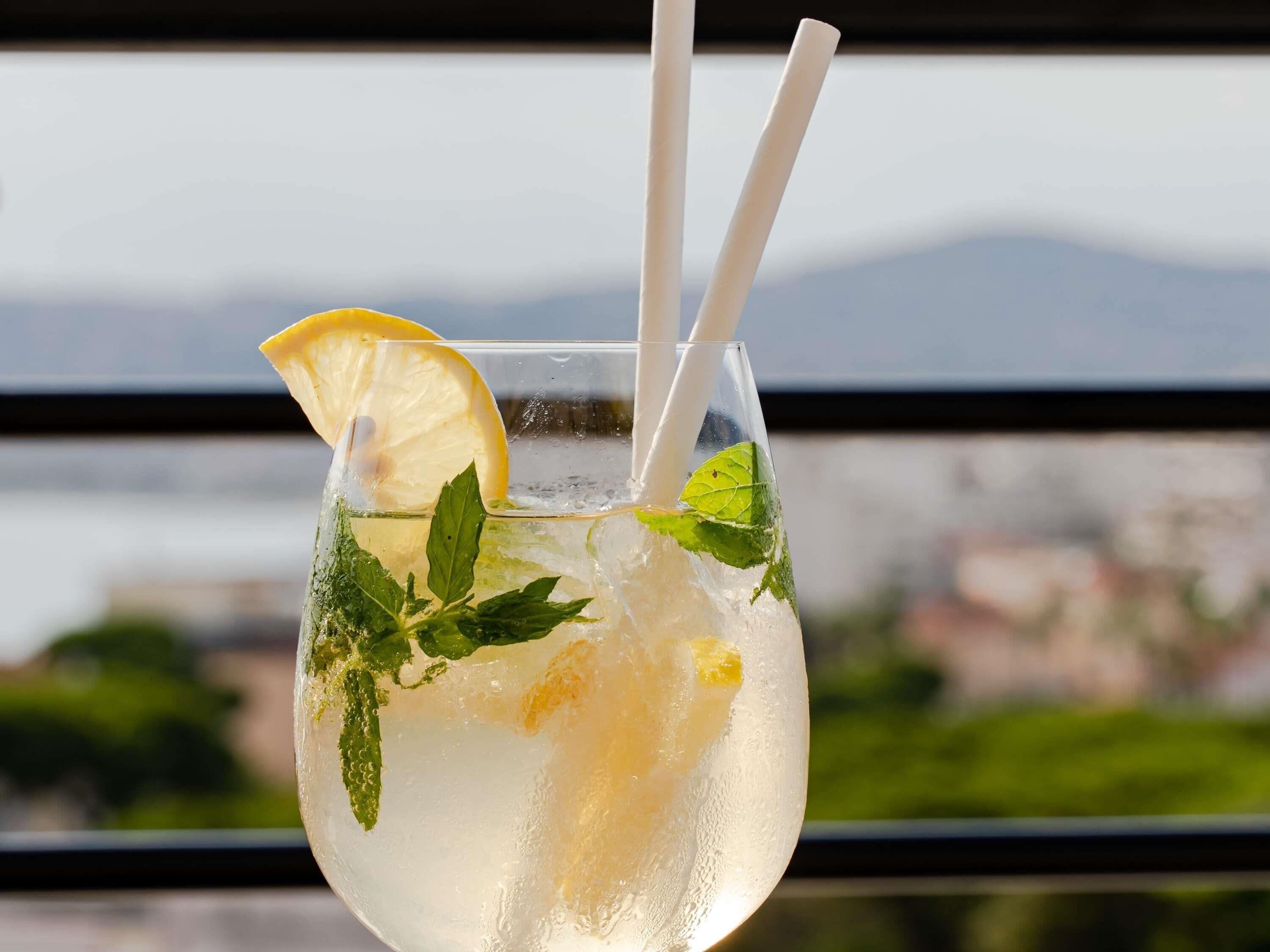 A glass of iced drink with lemon and mint garnish, with a scenic view in the background.