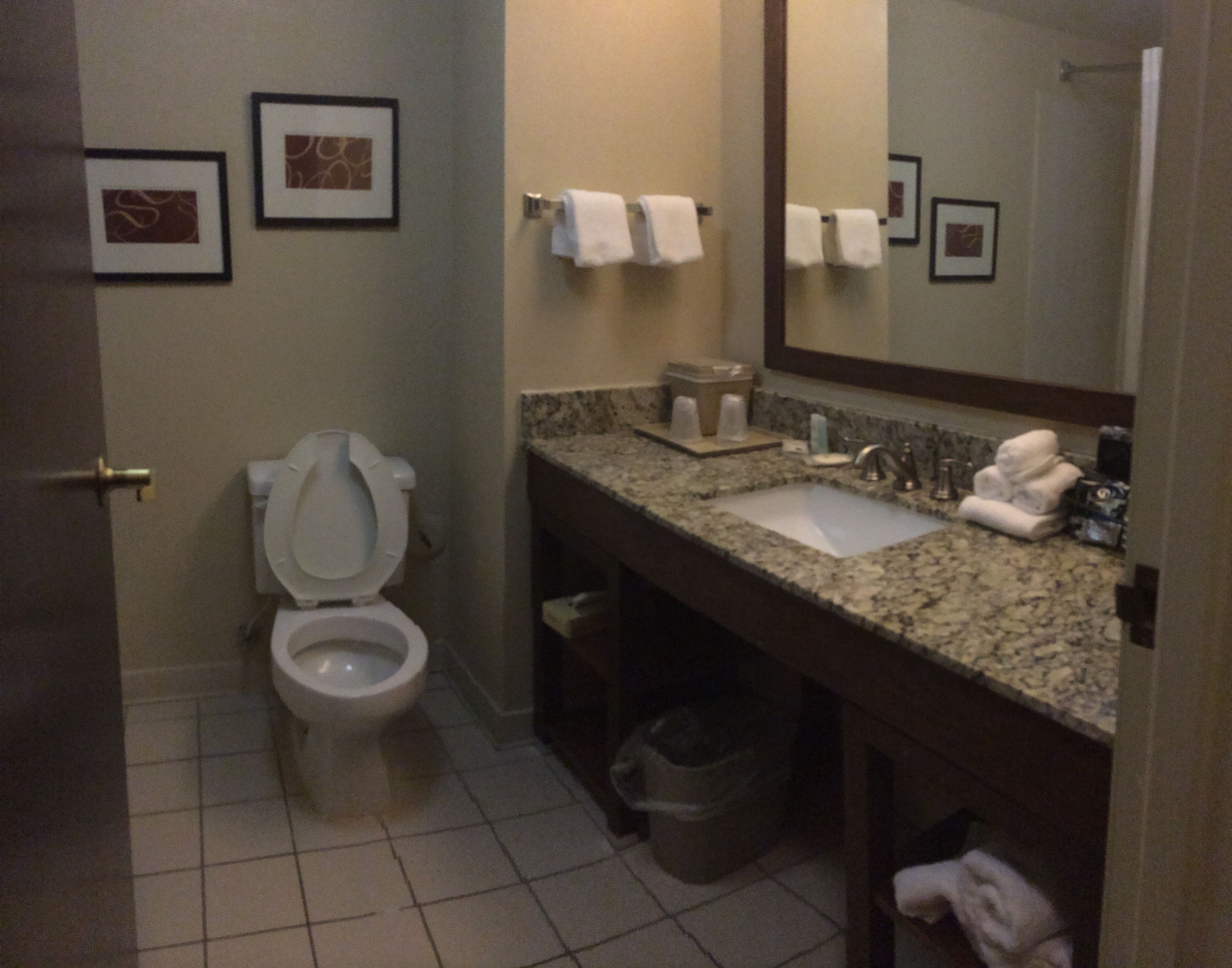 Une salle de bain équipée de toilettes, d’un lavabo, d’un miroir et de tableaux encadrés accrochés au mur.