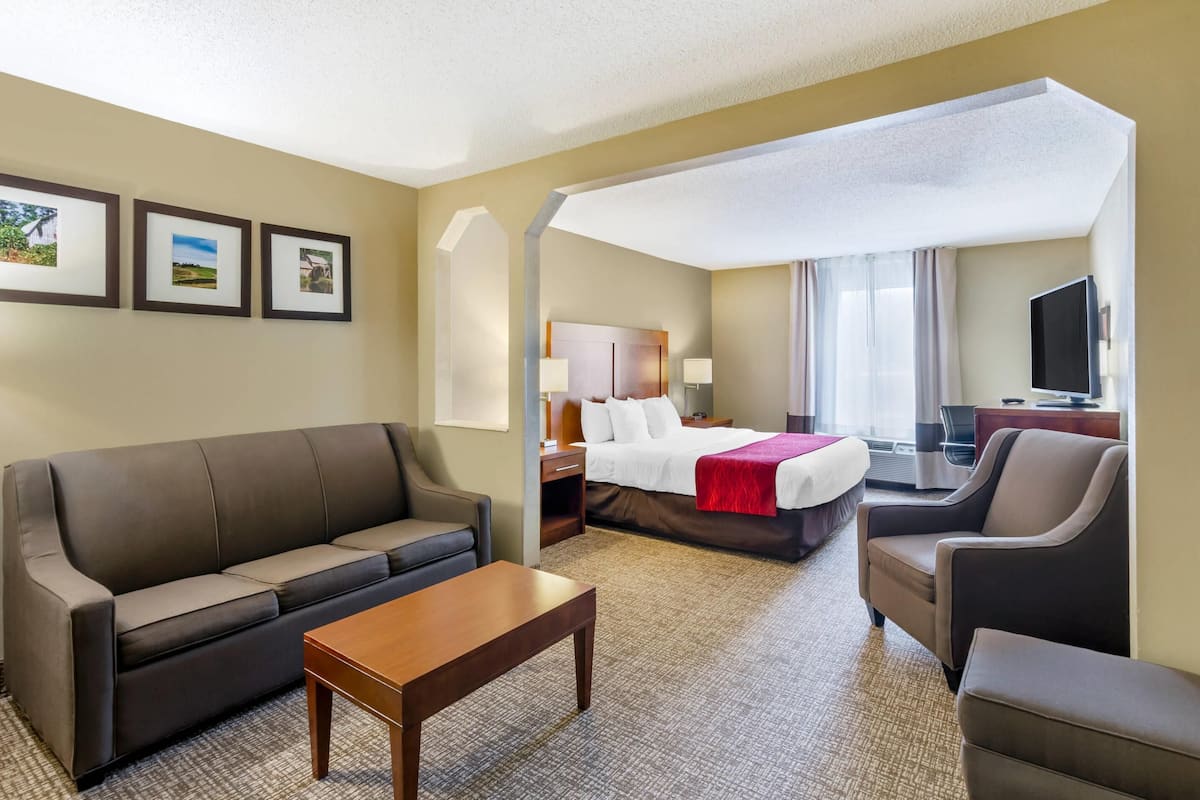 Suite, 1 King Bed with Sofa bed | In-room safe, desk, blackout curtains, iron/ironing board