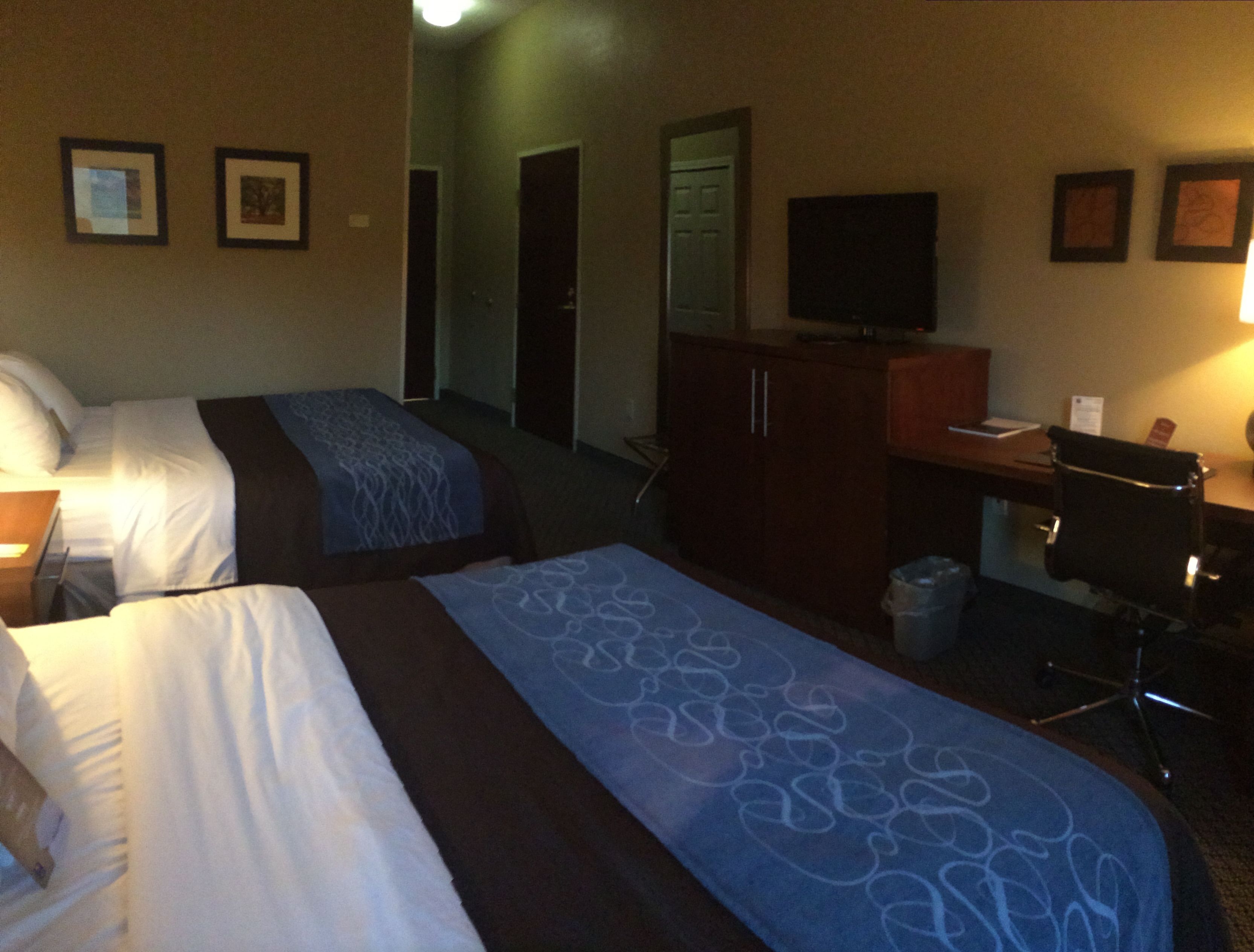 A hotel room with two beds, a desk, a chair, a television, and a trash can.