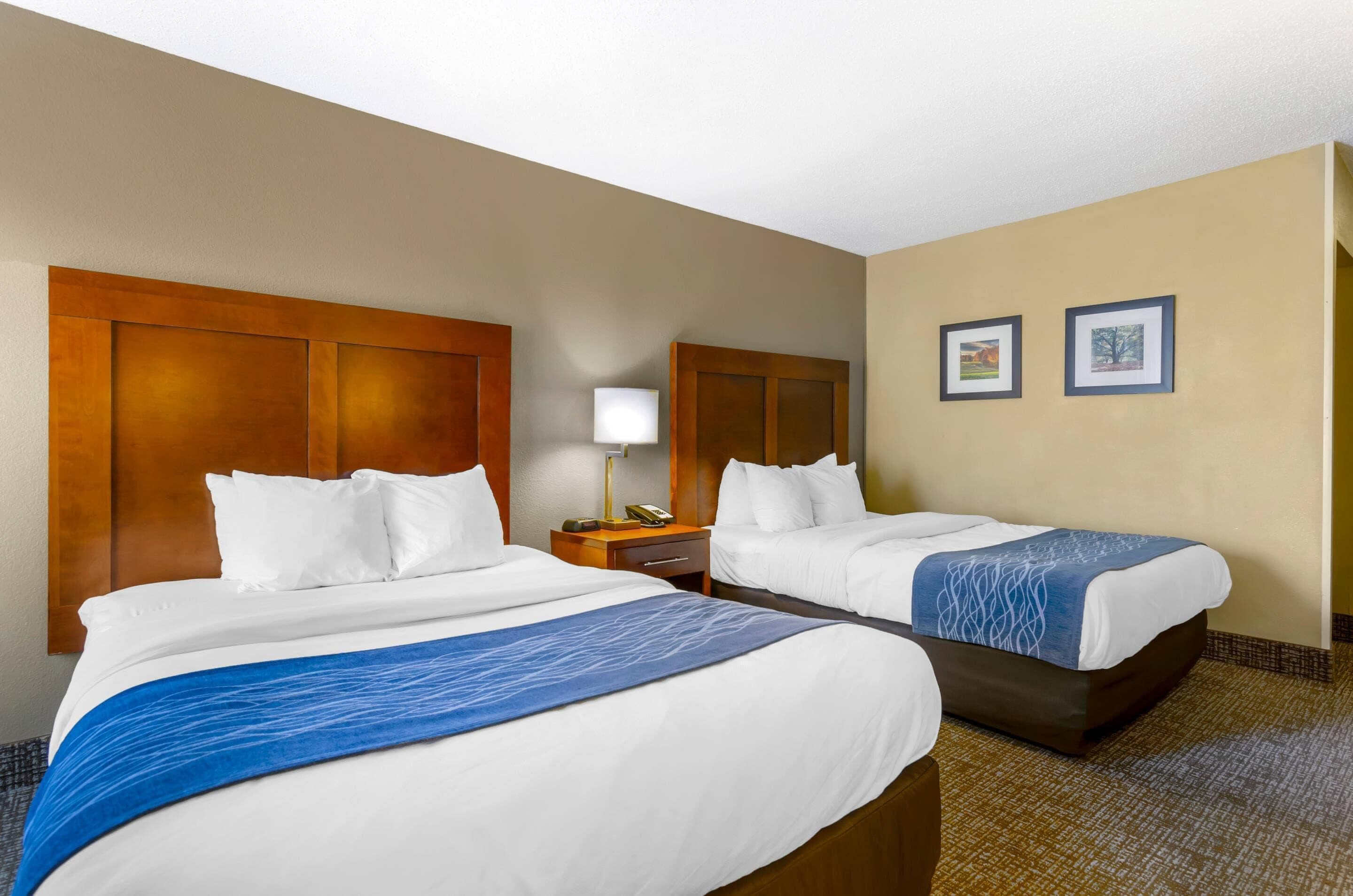 A hotel room with two beds, a nightstand with a lamp, and two framed pictures on the wall.