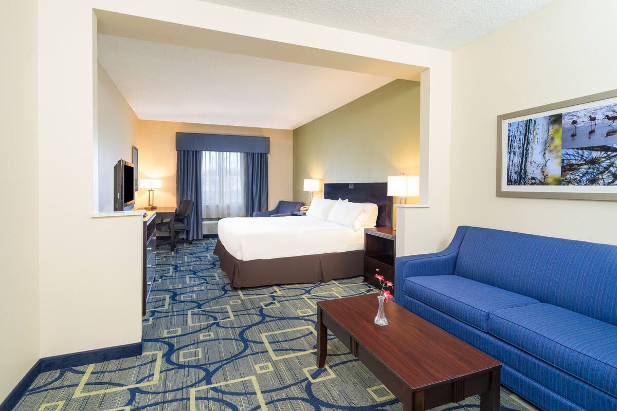 Habitación de hotel con una cama, un sofá azul, un escritorio y un televisor.