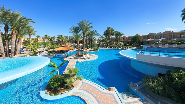 Zwembadgedeelte van een resort met palmbomen, ligbedden en een helderblauwe lucht.