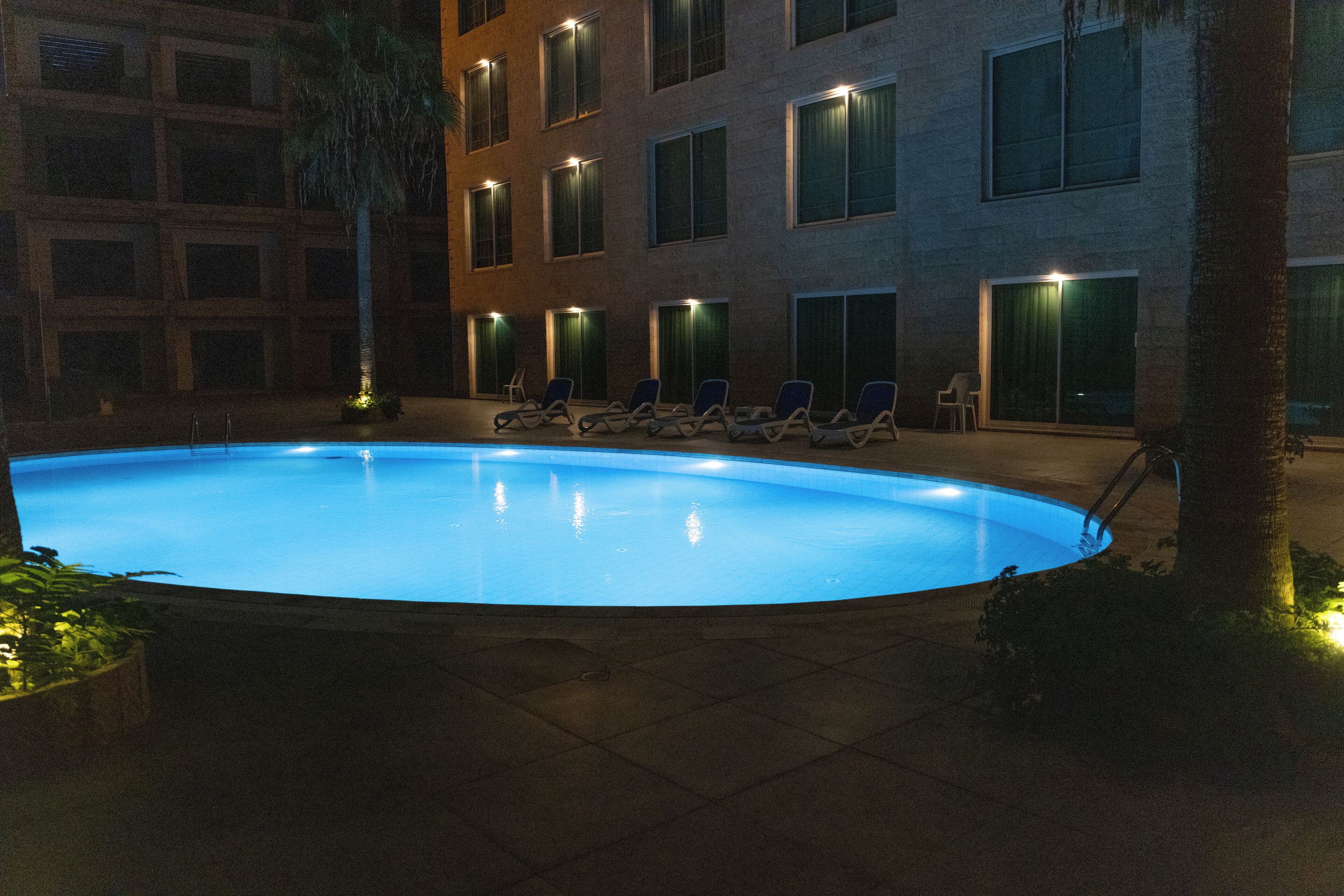 Foto - Petra Palace Hotel