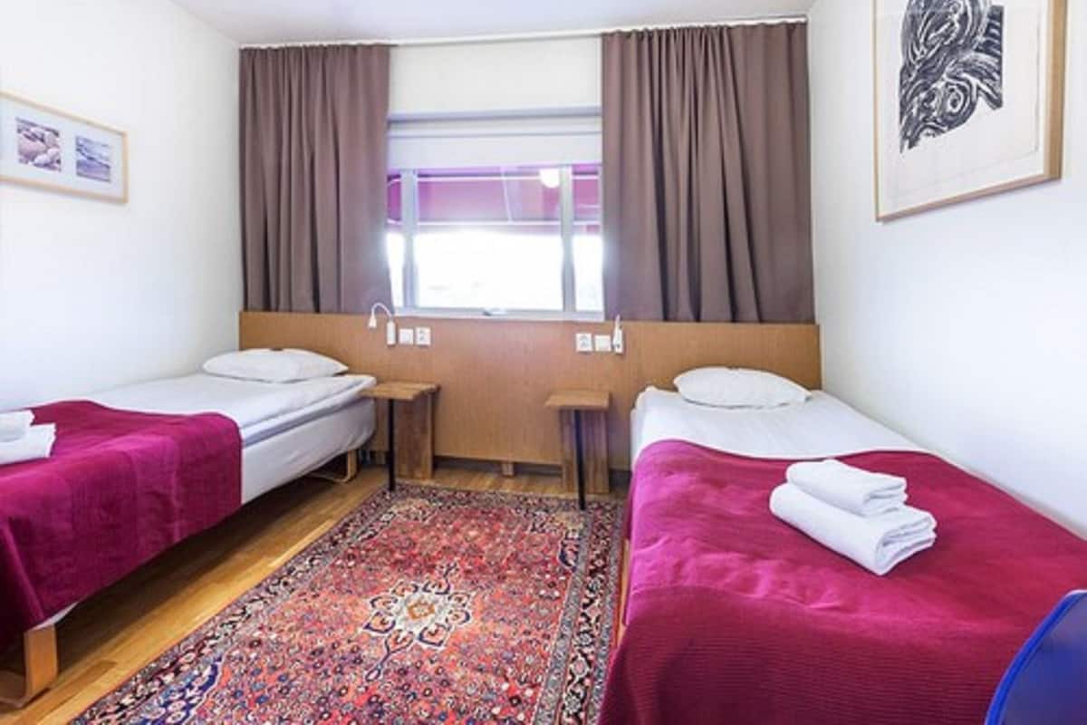 A room with two beds, a window with curtains, a patterned rug, and a framed picture on the wall.