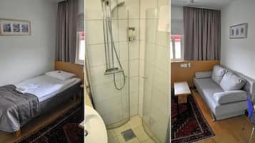 Una habitación con cama, ducha y sofá.