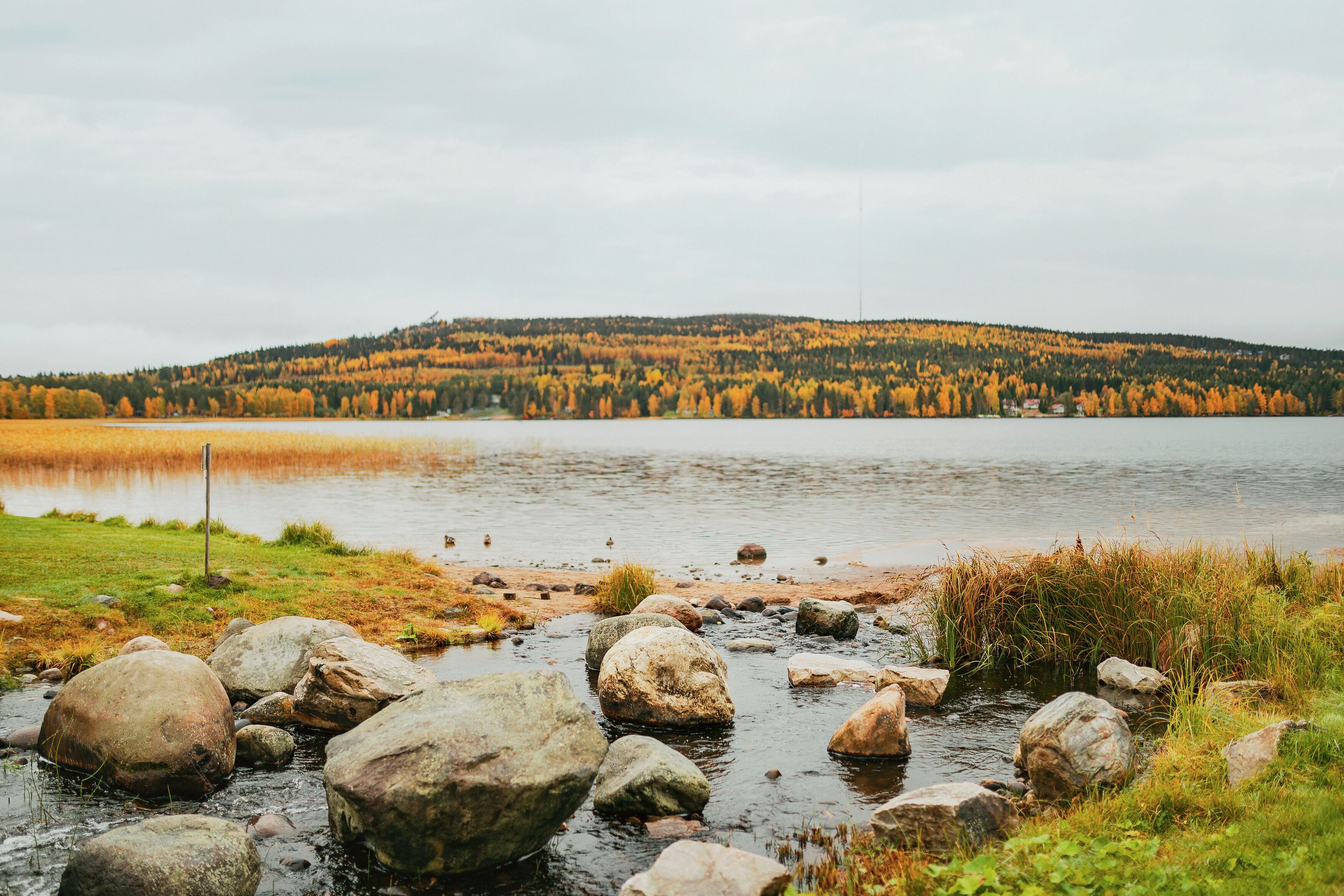 A lake with a rocky shoreline and a forested hill in the background.