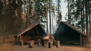 Dos cabañas de madera con techos a dos aguas, rodeadas de altos árboles.