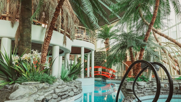 Zona de piscina interior con pared de piedra, palmeras y un puente rojo.