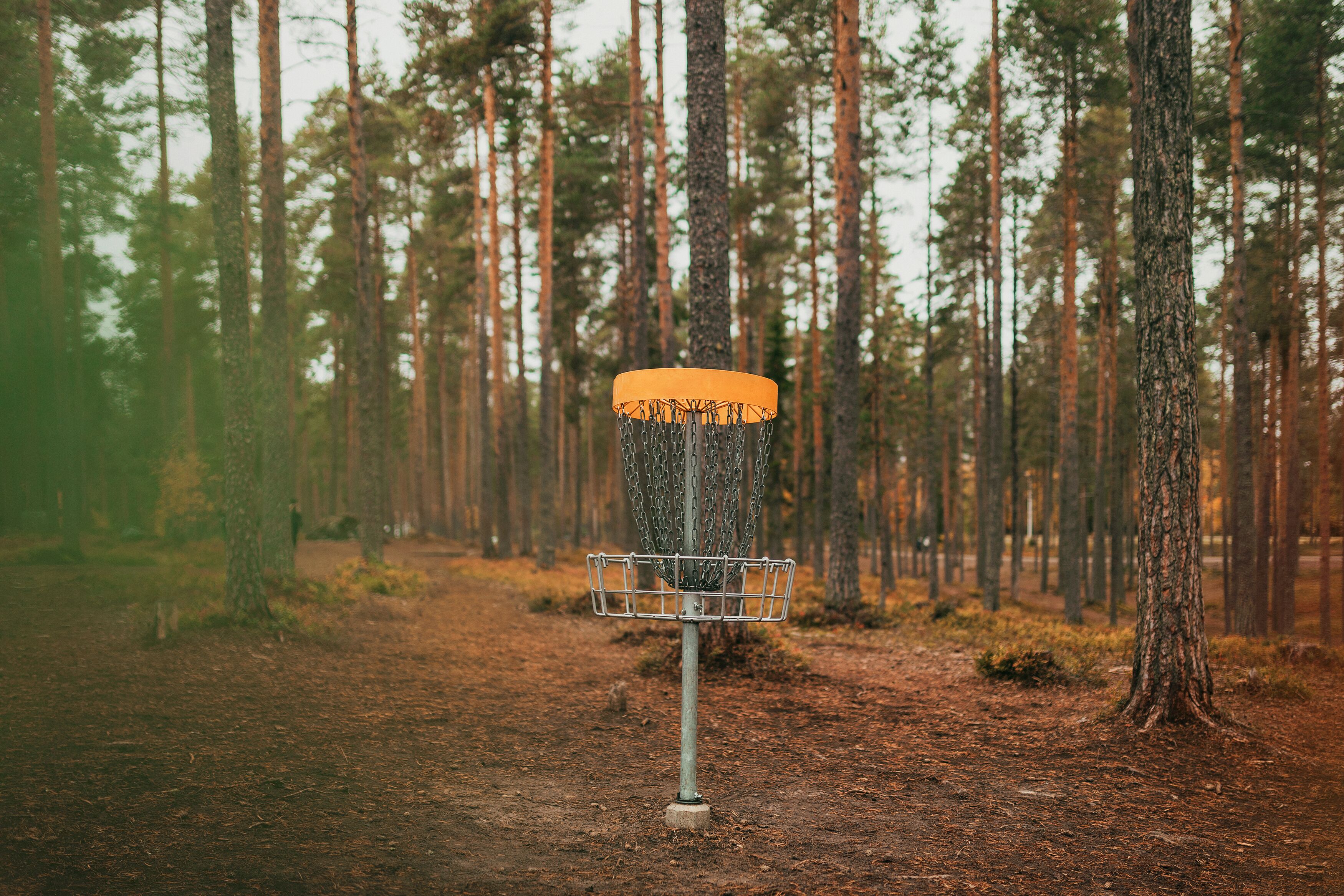 A disc golf basket in a forest.