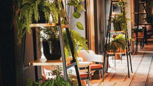 Un pasillo con varios puestos de plantas, una silla blanca y un sofá azul.