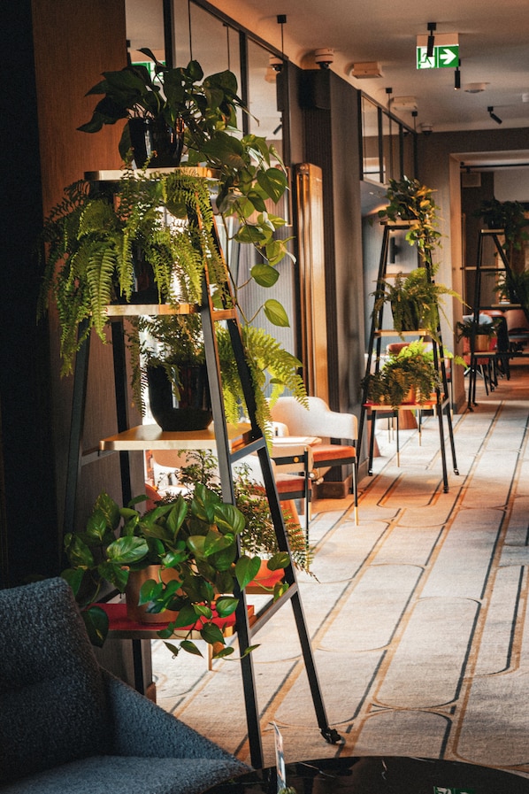 Ofrece desayunos, almuerzos y cenas