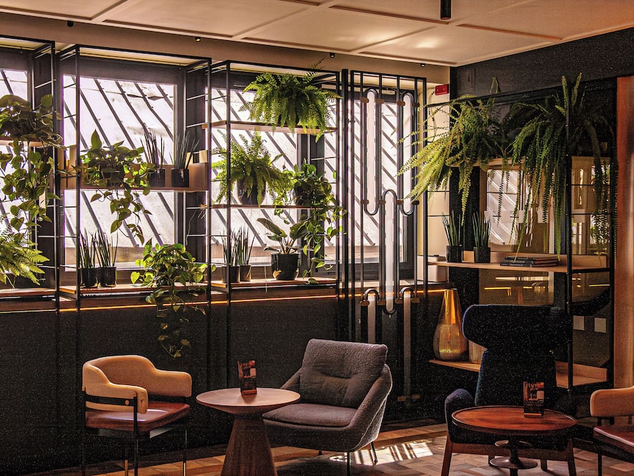 A modern interior with a seating area, large windows with plants, and a dark-toned wall.