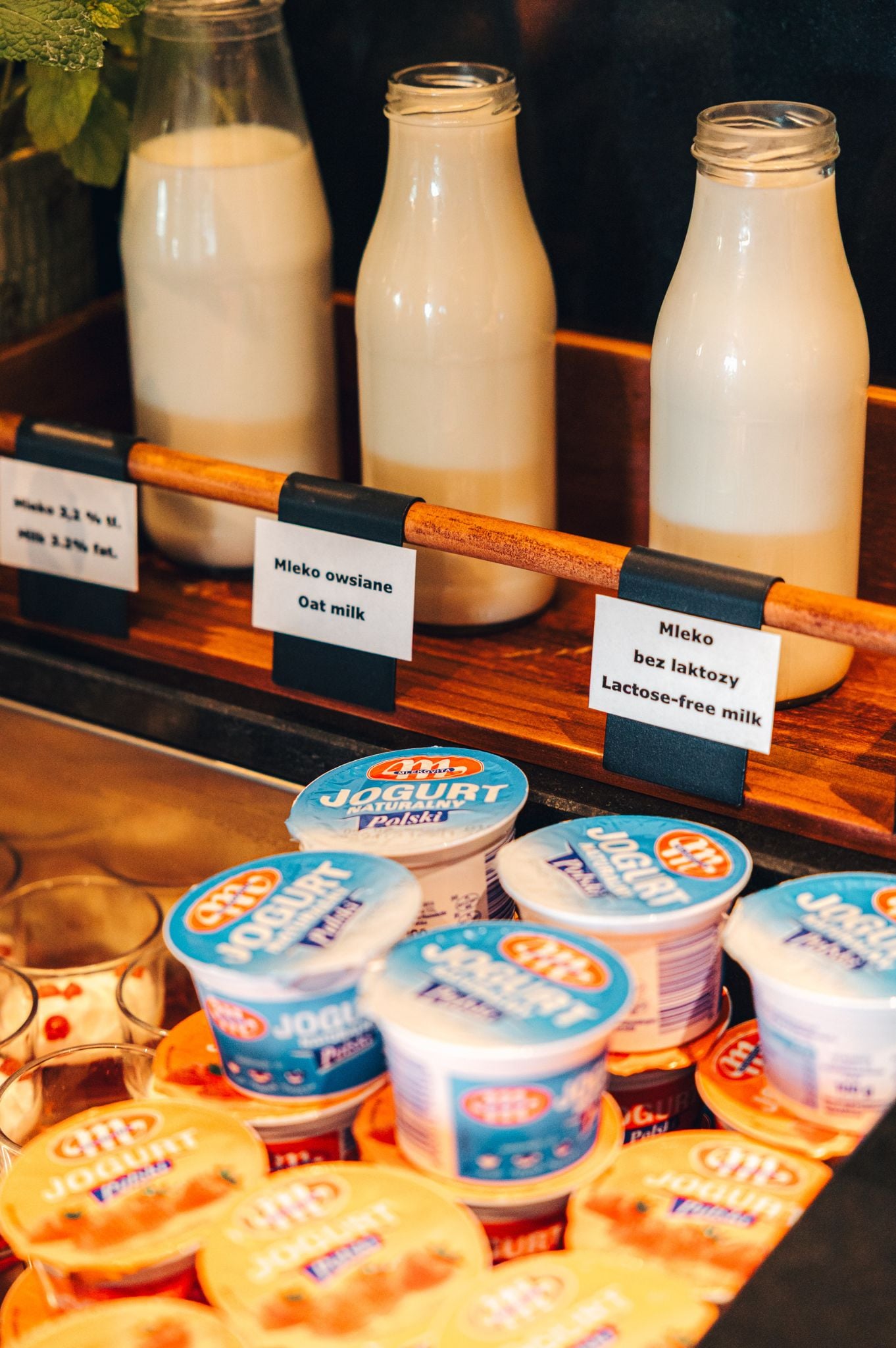 A selection of milk and yogurt products on display, including oat milk and lactose-free milk.