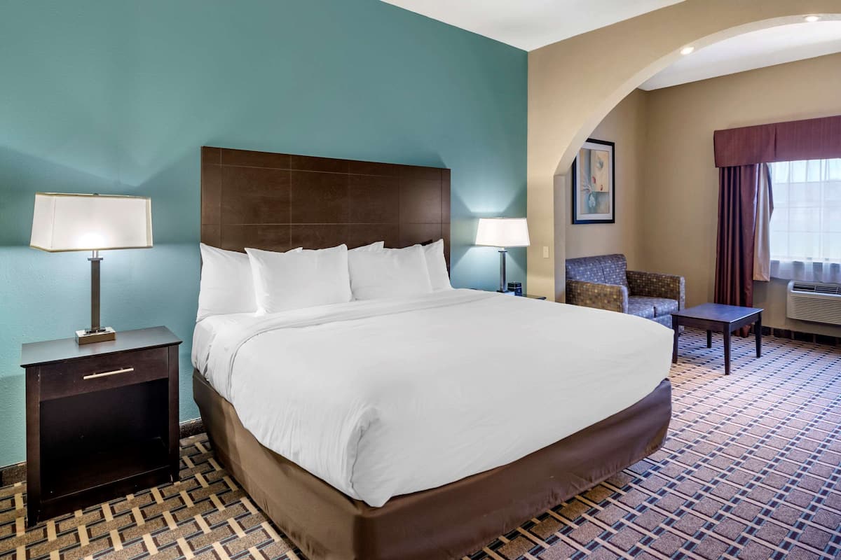 Habitación de hotel con una cama grande, dos mesitas de noche con lámparas, un pequeño sofá y suelo estampado.