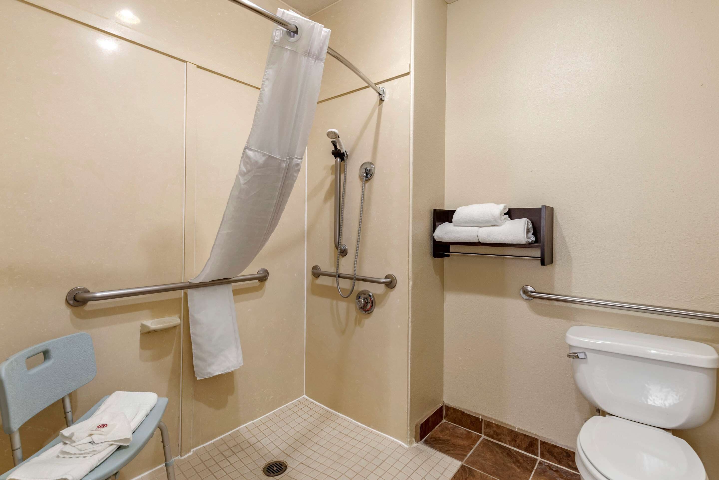 combined shower/bathtub, free toiletries, hair dryer, towels