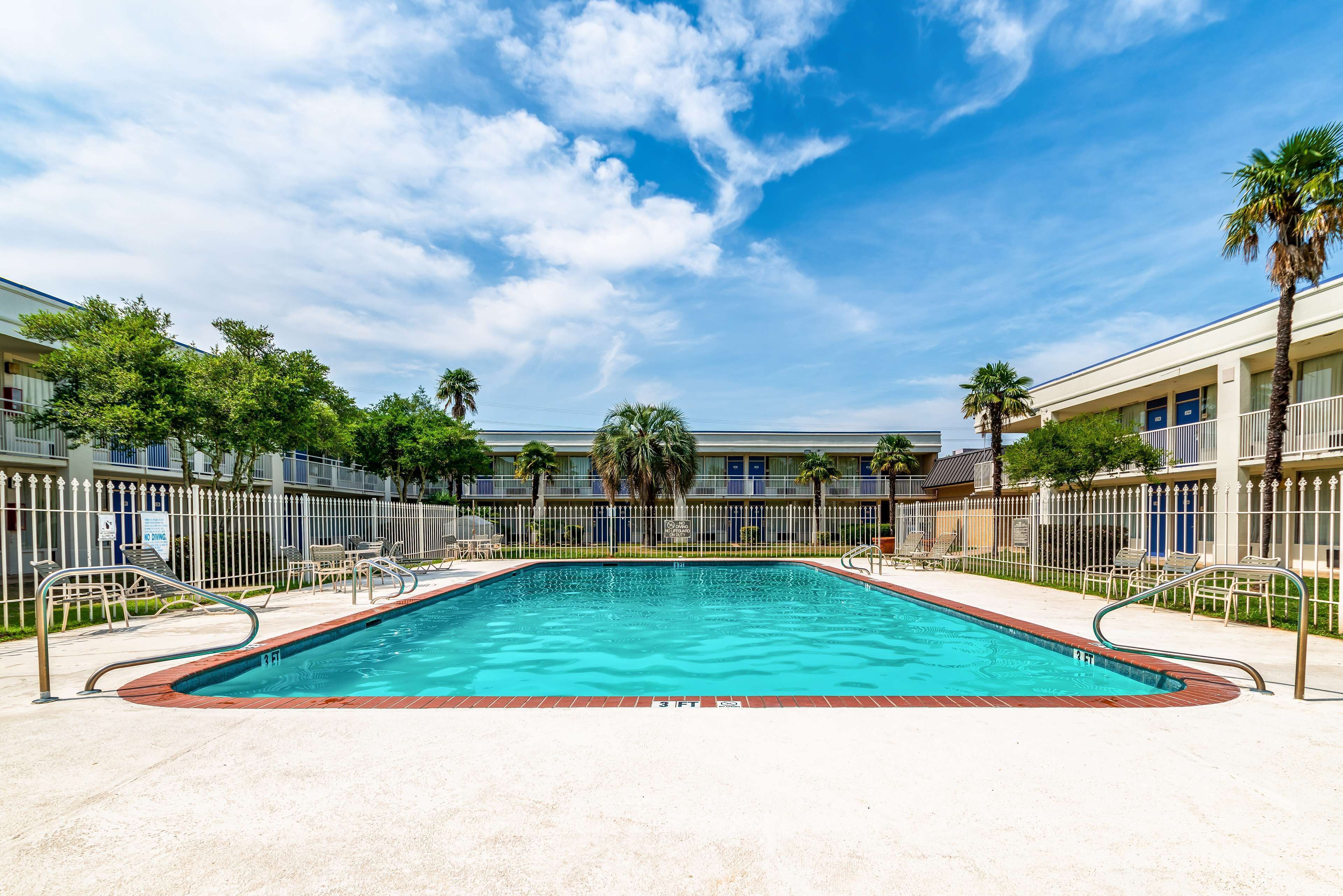 A rectangular swimming pool with a tiled edge, surrounded by a metal fence and palm trees.