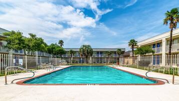A rectangular swimming pool with a tiled edge, surrounded by a metal fence and palm trees.