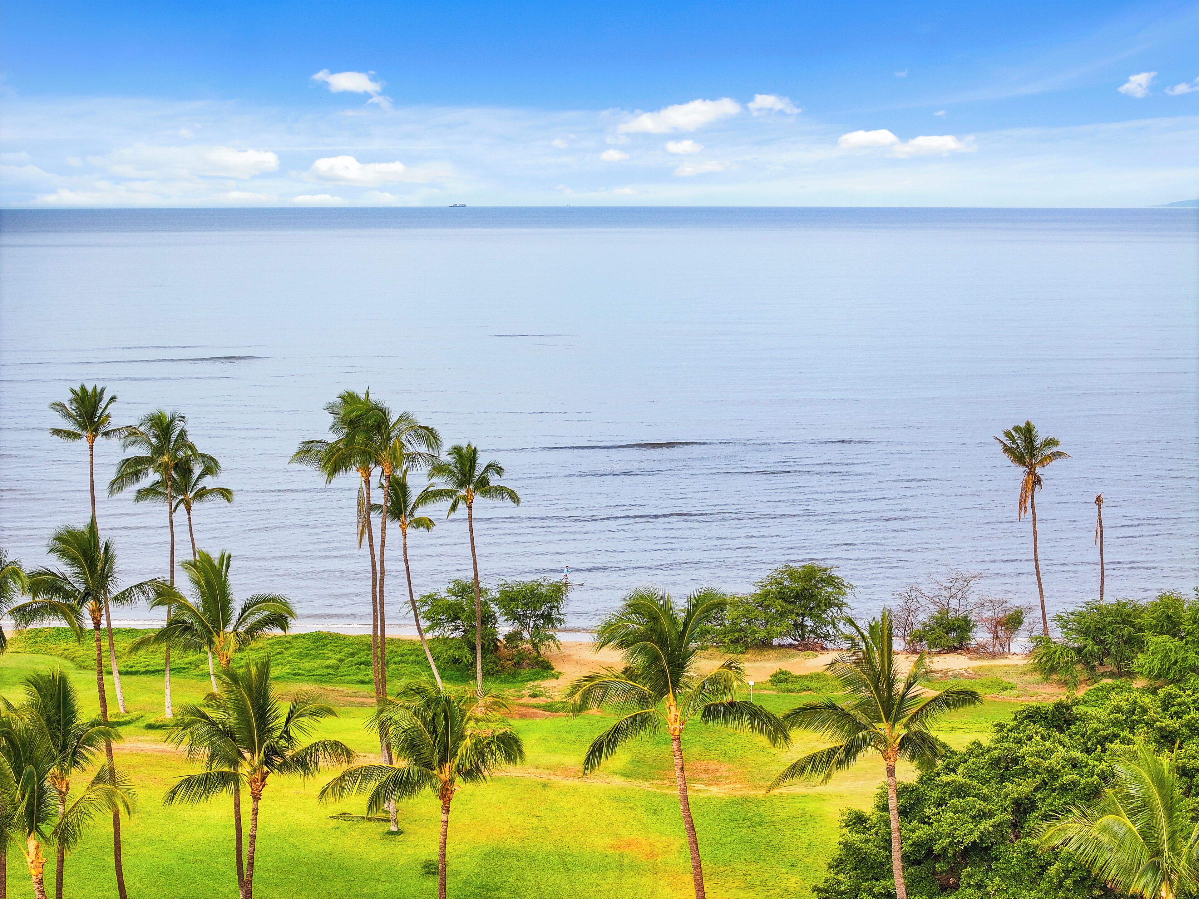A tropical landscape with palm trees and a view of the ocean.