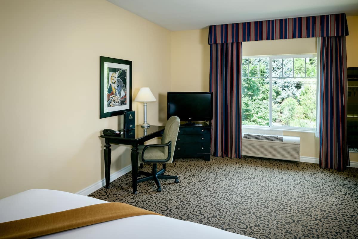 Hotelkamer met een bed, bureau met stoel, televisie, een ingelijst kunstwerk aan de muur en raam met gordijnen.