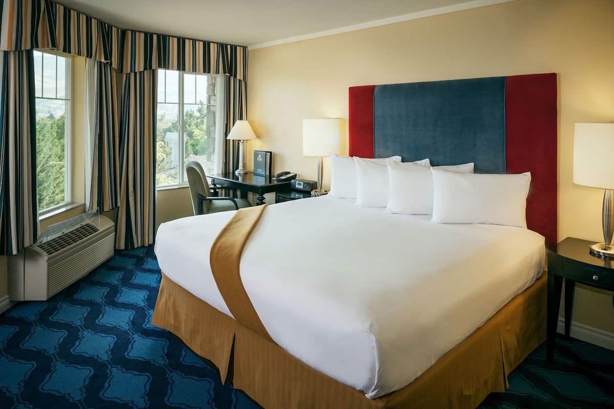 Hotelkamer met een groot bed, een bureau, twee lampen, een stoel en uitzicht op groen.