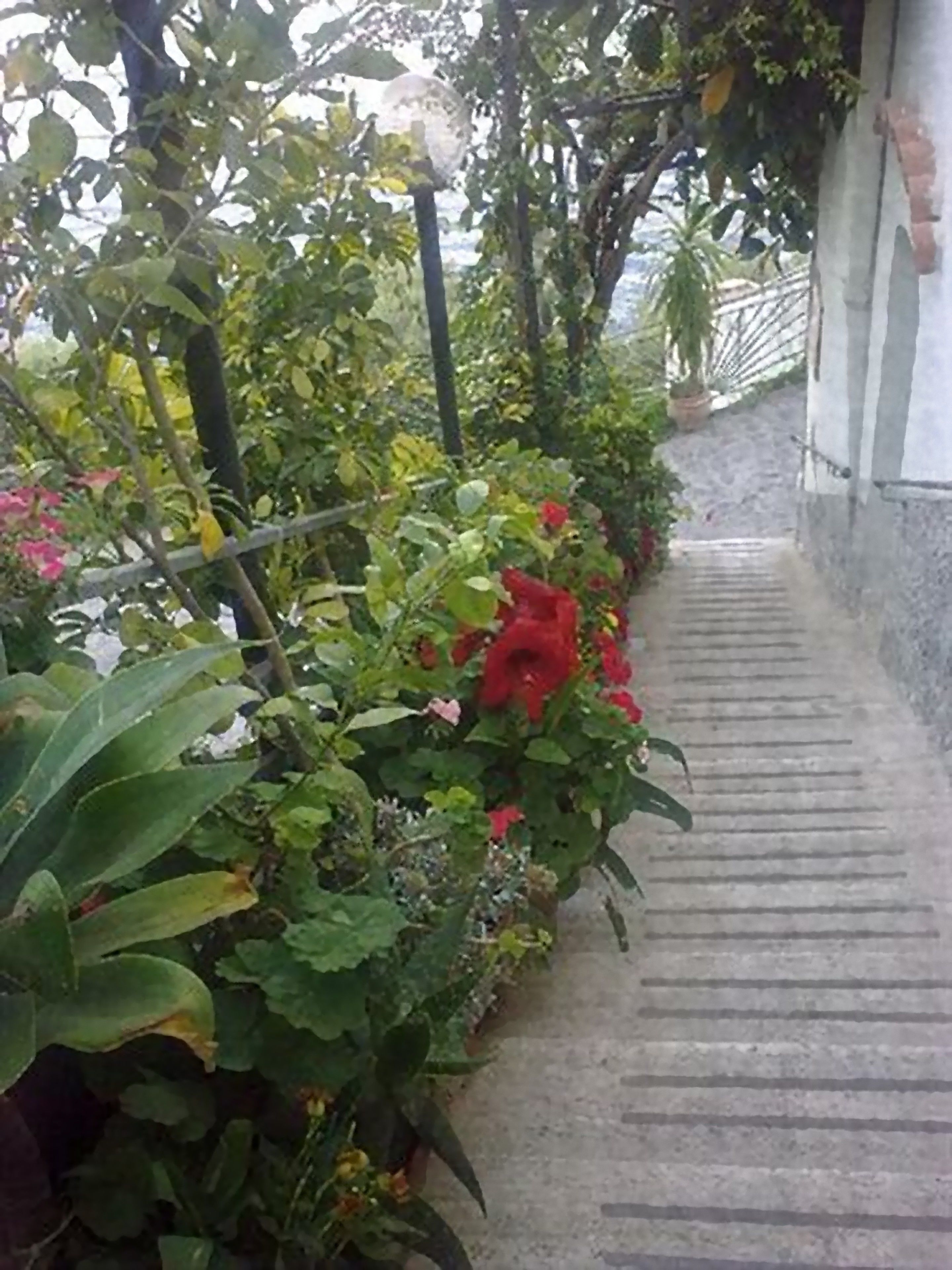 Foto - Hotel La Perla