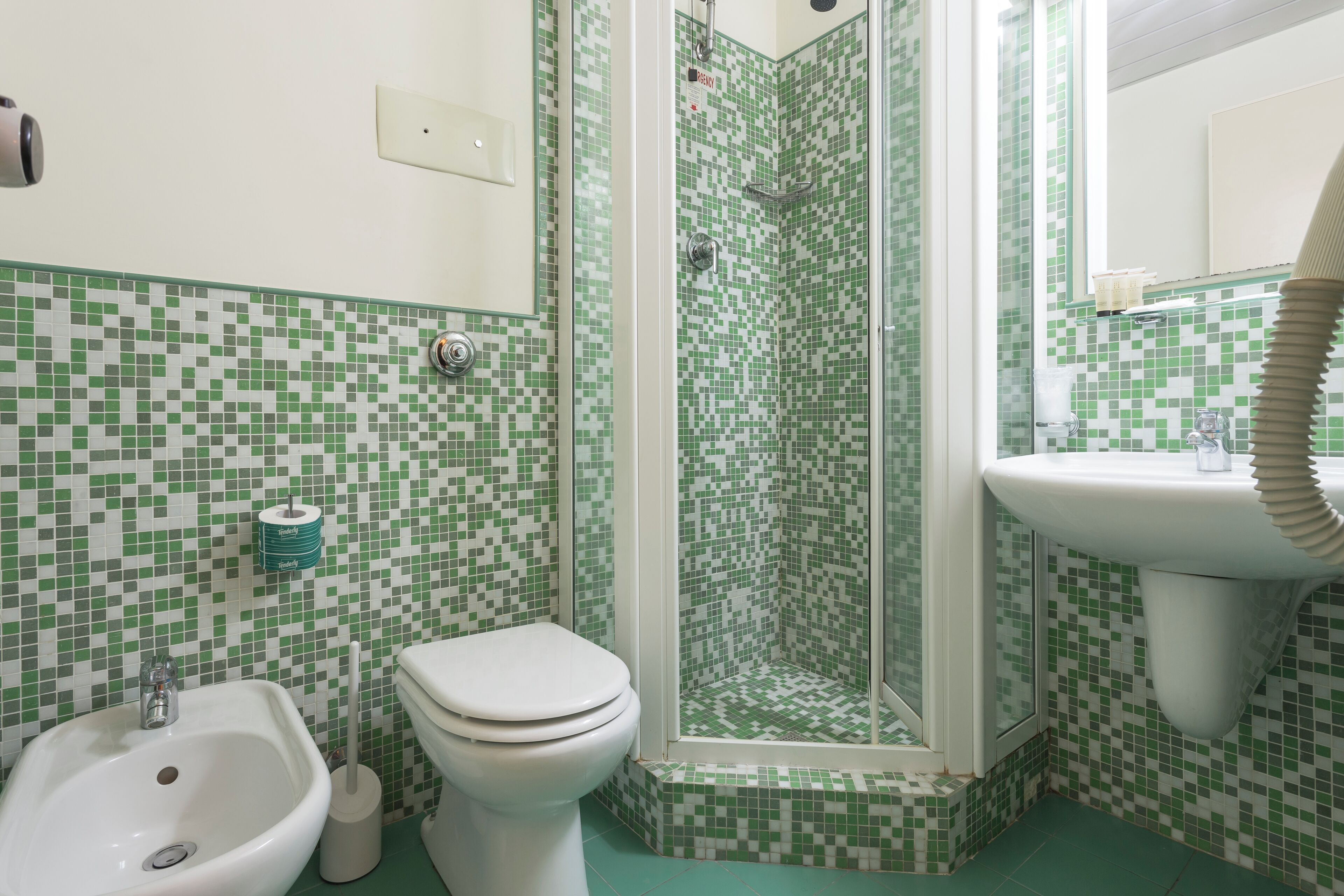 family room | bathroom | separate bathtub and shower, free toiletries, hair dryer, bidet