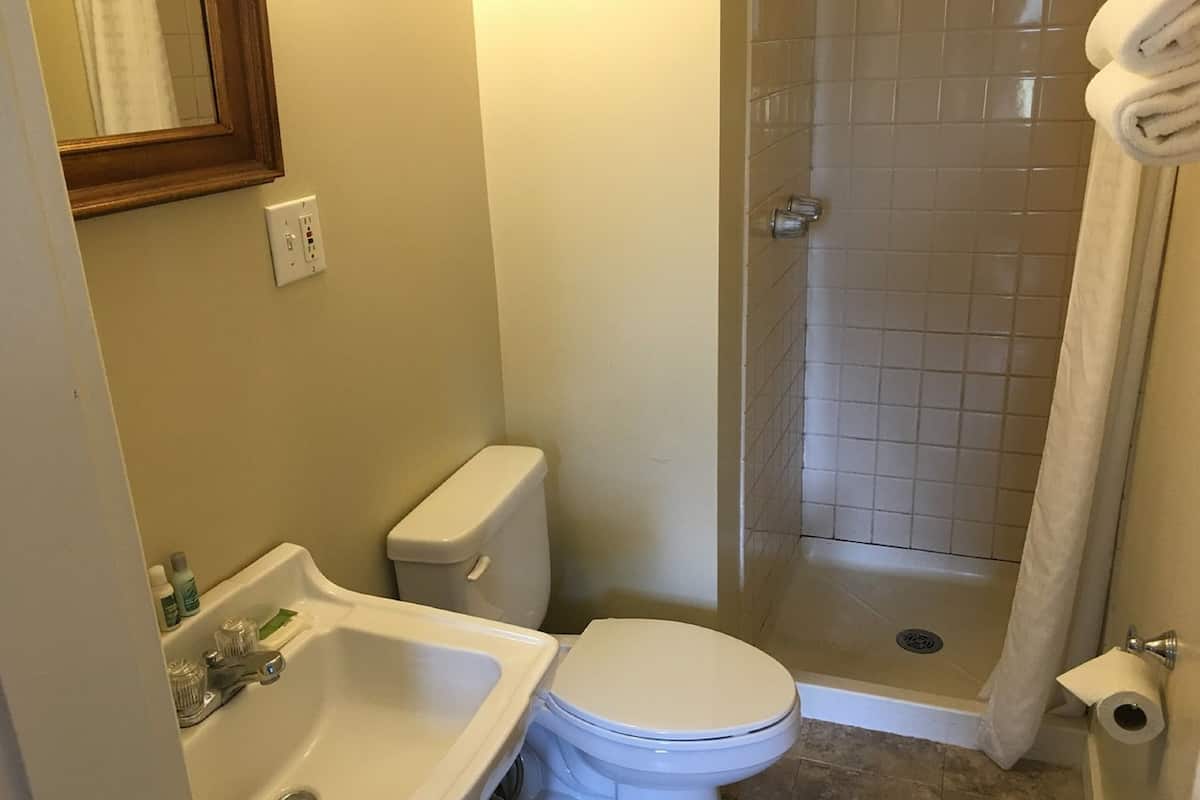 combined shower/bathtub, free toiletries, hair dryer, towels