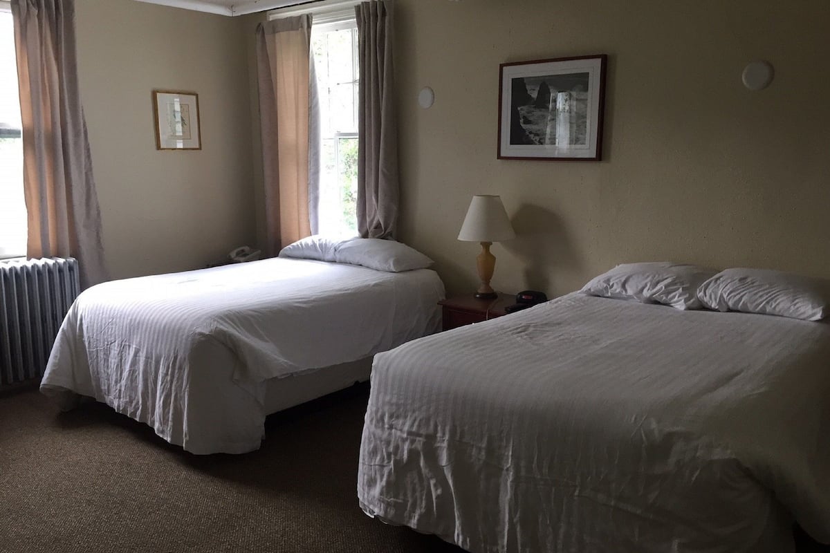 standard room, multiple beds | hypo-allergenic bedding, desk, iron/ironing board, free wifi