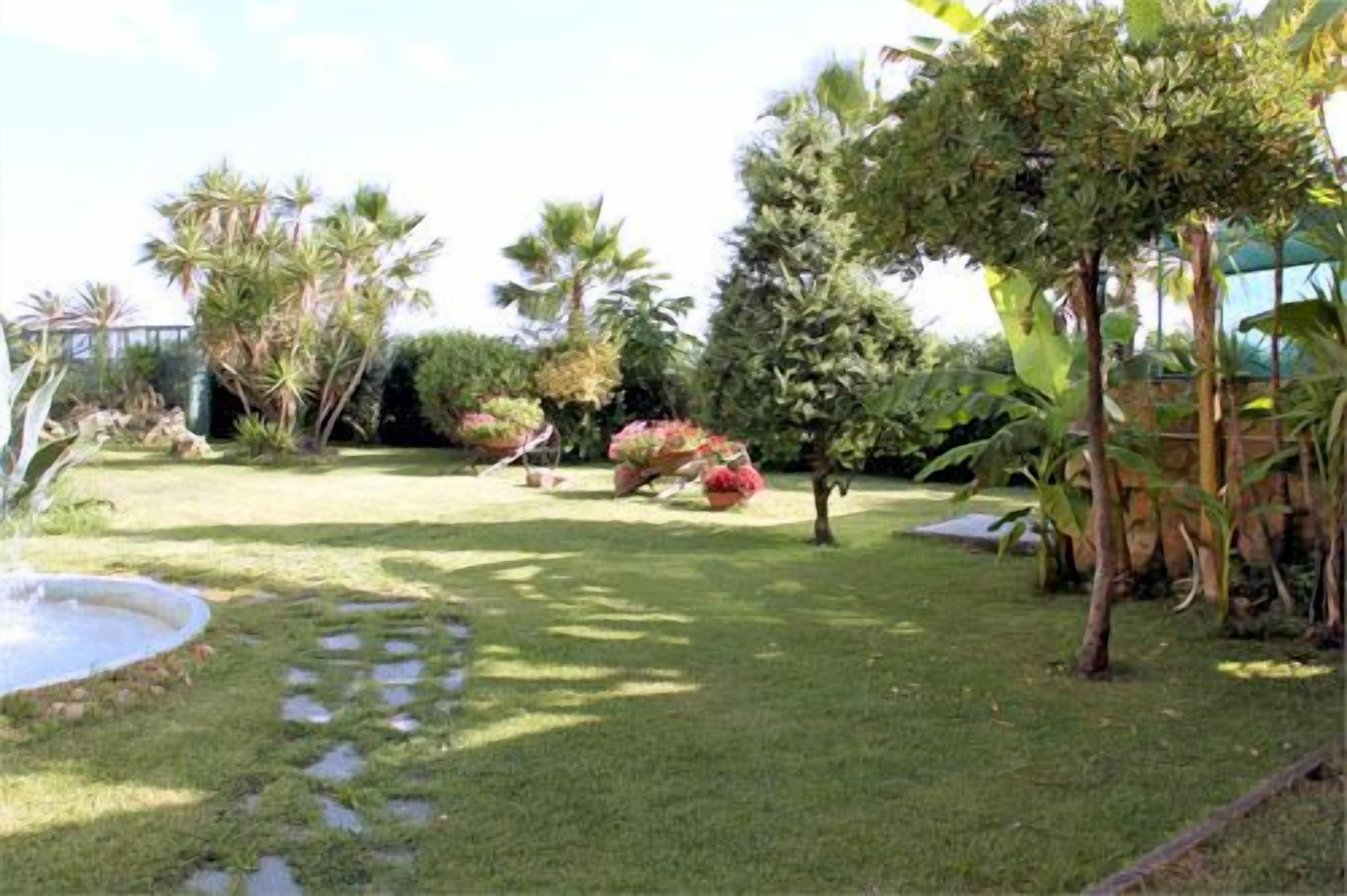 Un jardin bien entretenu, agrémenté de diverses plantes et d’un petit élément décoratif aquatique.