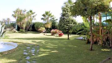 Un jardin bien entretenu, agrémenté de diverses plantes et d’un petit élément décoratif aquatique.