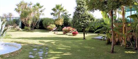 Un jardín bien cuidado con diversas plantas y un pequeño elemento acuático.
