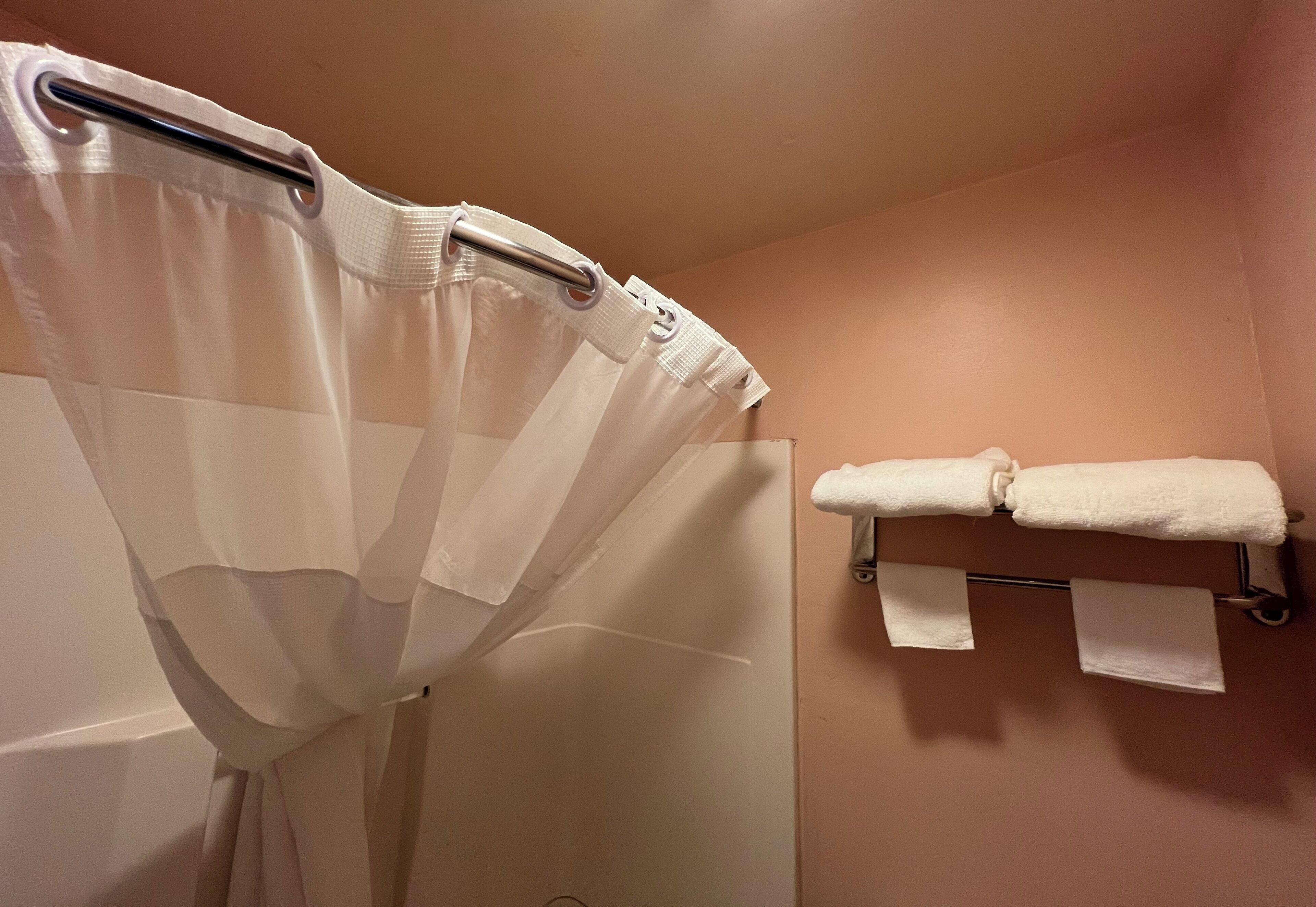 A bathroom with a shower curtain, a towel rack with a towel, and a roll of toilet paper.