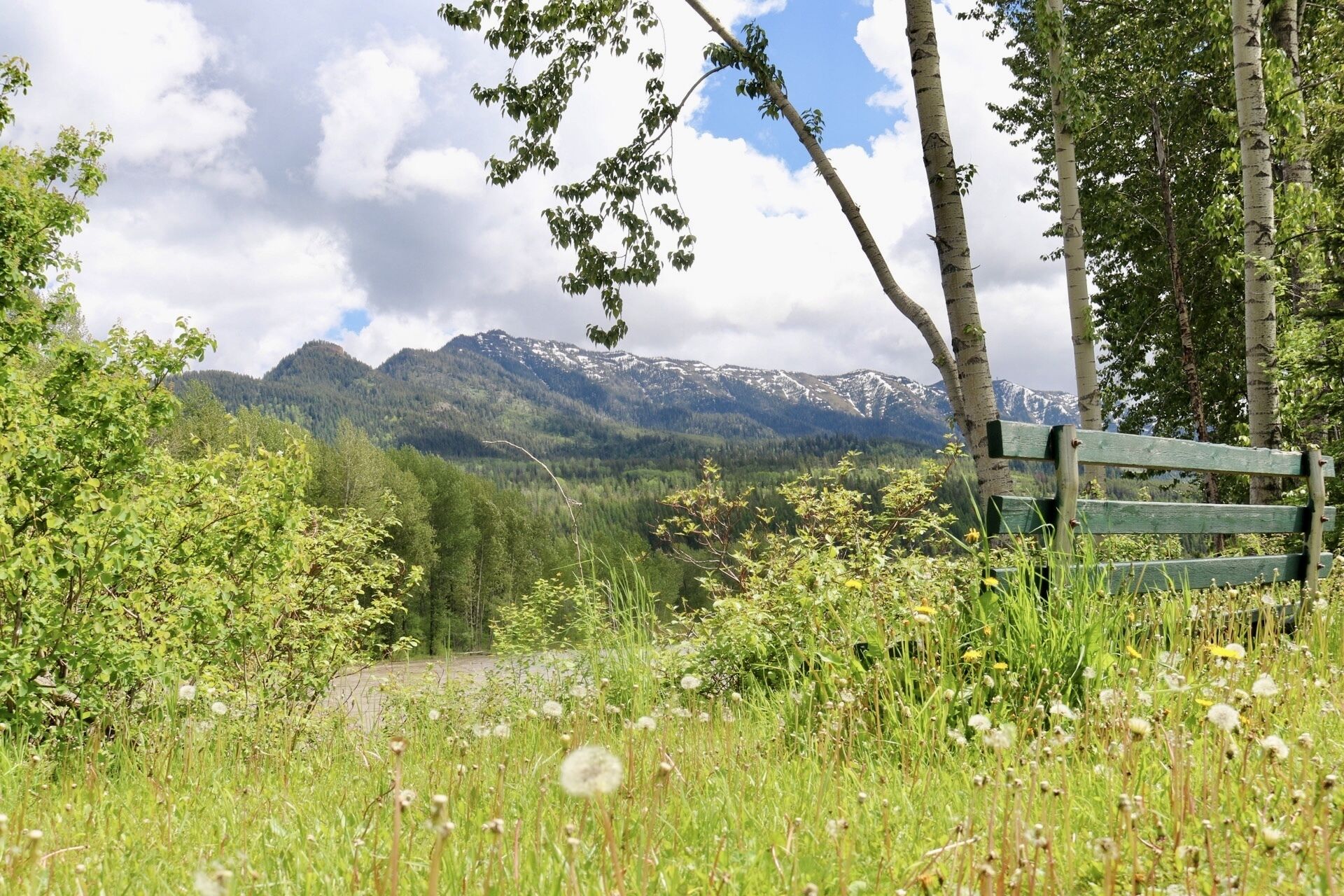 A bench in a natural setting with mountains in the background.