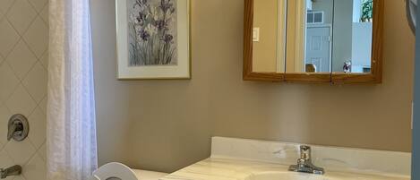 A bathroom with a toilet, bidet, and a sink with a mirror above it.