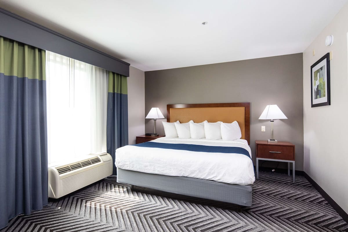 A hotel room with a large bed, two bedside tables with lamps, a window with curtains, and a wall-mounted picture.