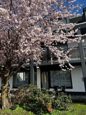 บริเวณภายนอก