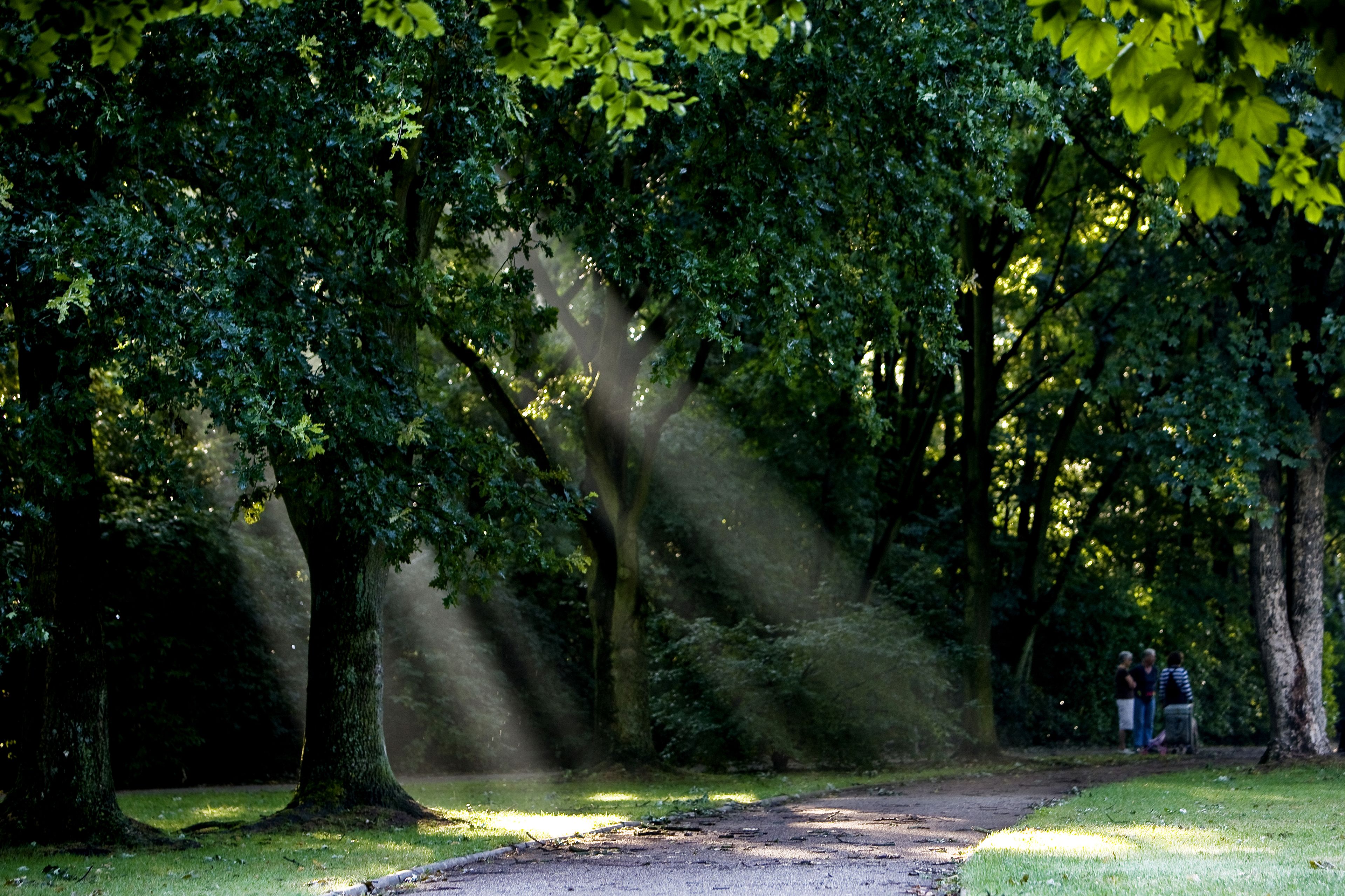 comfort double room (plus) | park view