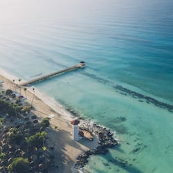 Relax on the beach with sun loungers and umbrellas, surrounded by lush greenery and palm trees.