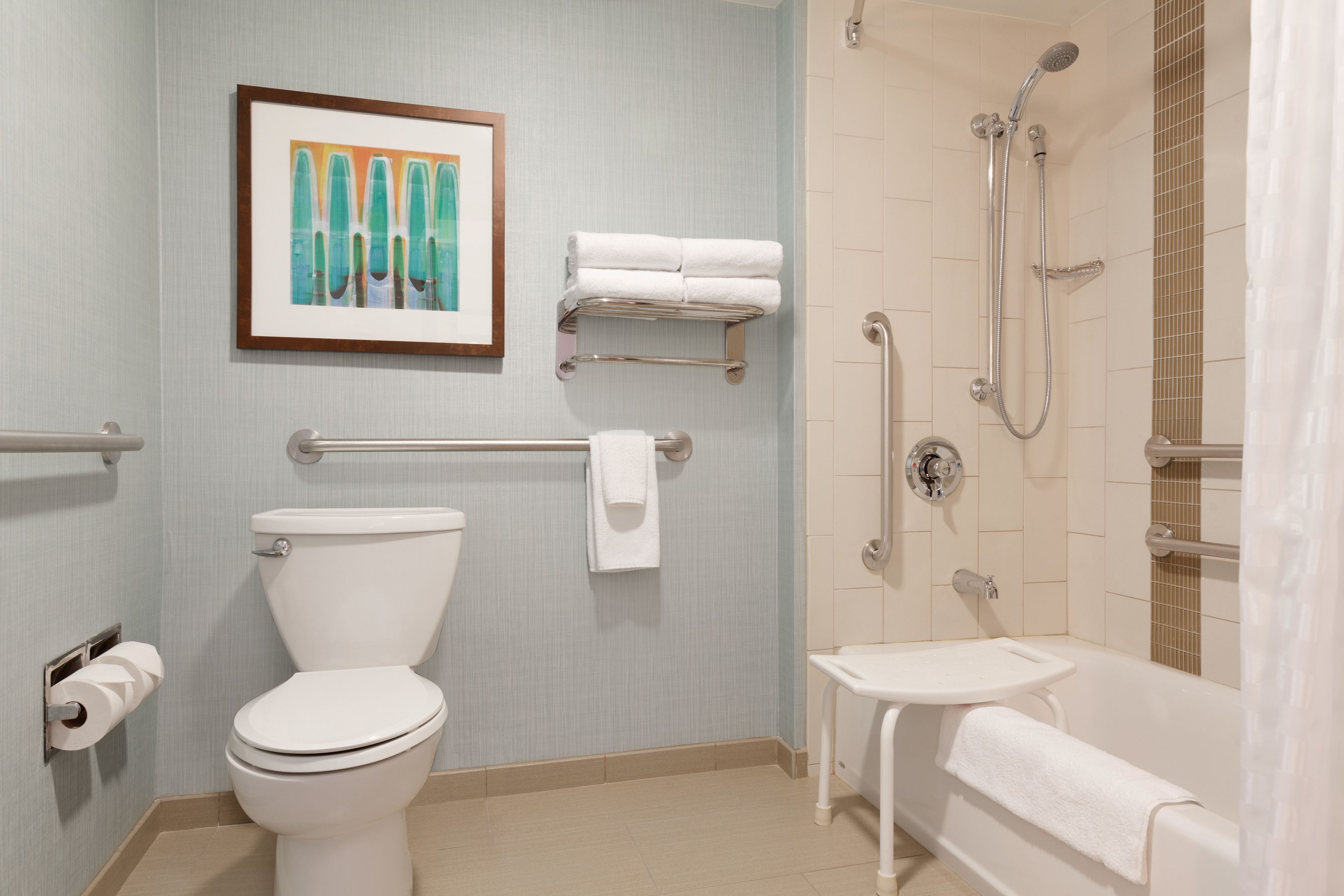 room, 1 king bed, accessible, bathtub | bathroom | combined shower/bathtub, designer toiletries, hair dryer, towels