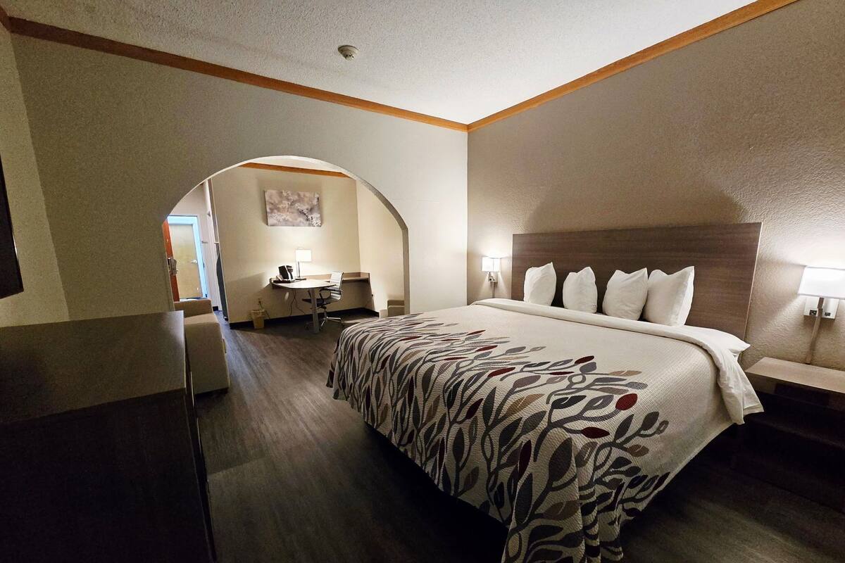 Suite, 1 King Bed, Non Smoking | Desk, laptop workspace, blackout curtains, iron/ironing board