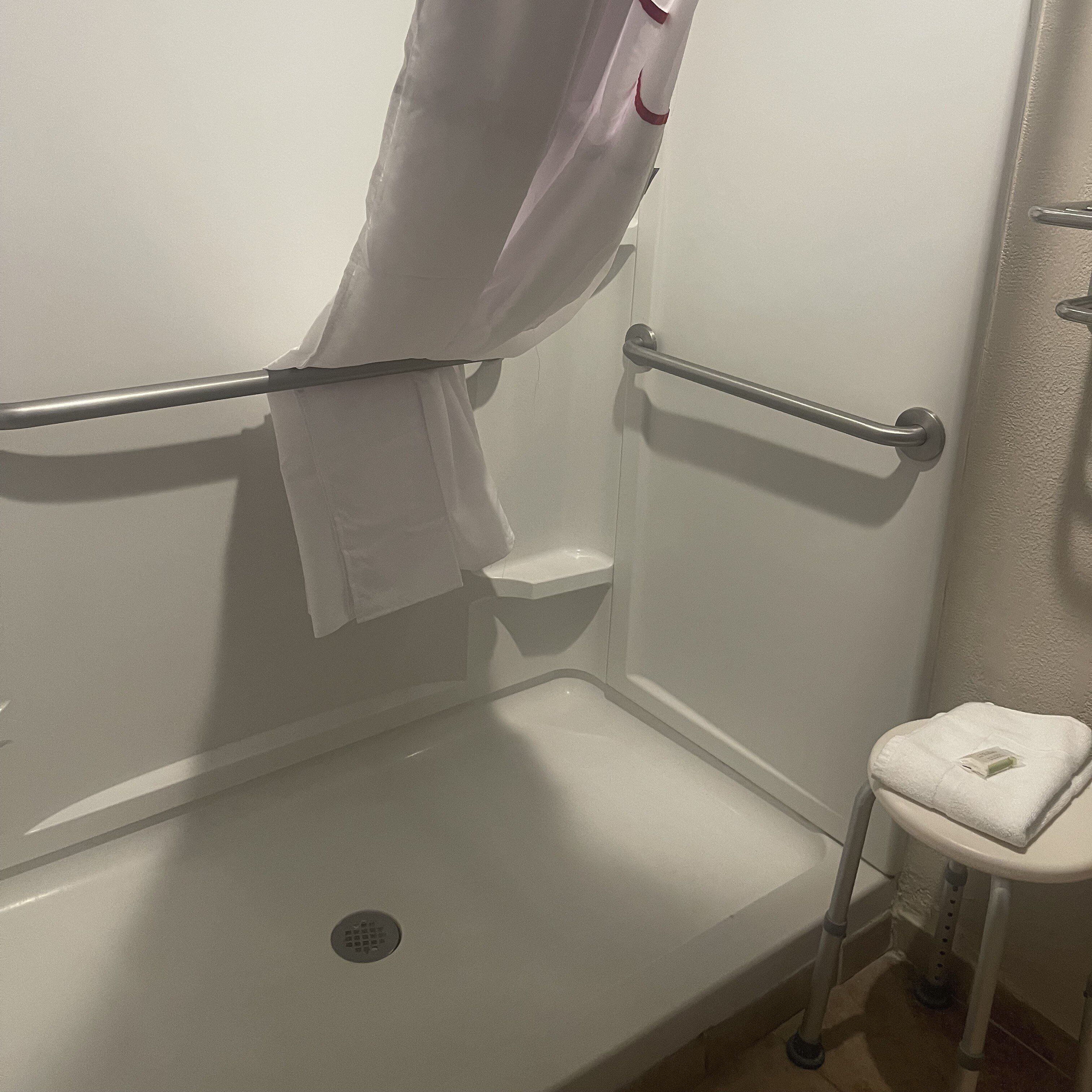 Deluxe Room, 1 King Bed, Accessible, Non Smoking (Roll-in Shower) | Bathroom | Free toiletries, hair dryer, bidet, towels
