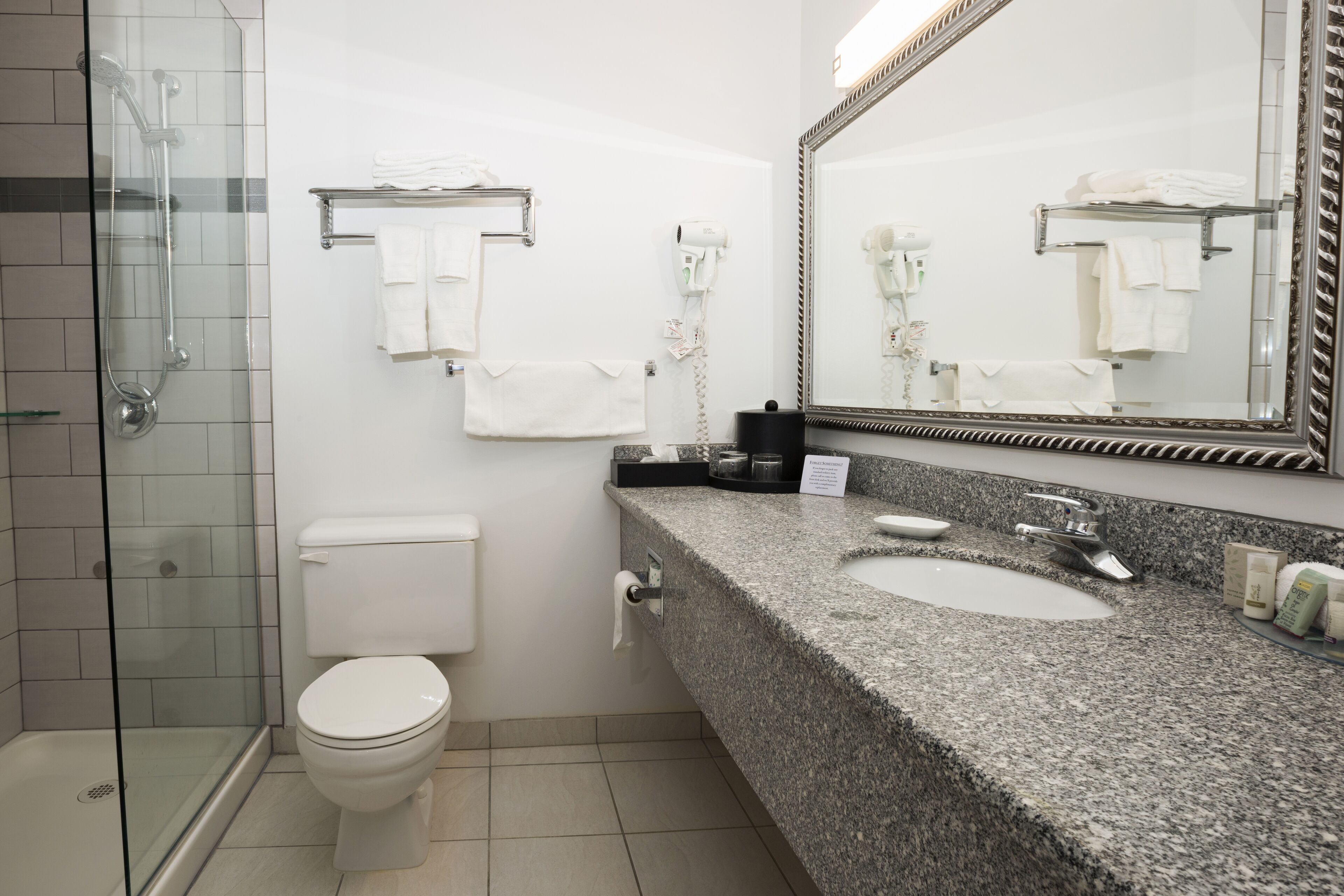 A modern bathroom with a glass shower enclosure, a white toilet, a granite countertop with a sink, and a large mirror.