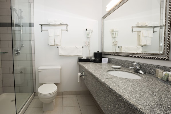 A modern bathroom with a glass shower enclosure, a white toilet, a granite countertop with a sink, and a large mirror.