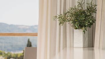 A potted plant on a windowsill with a view of mountains.