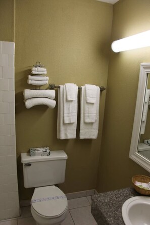 Combined shower/bathtub, free toiletries, hair dryer, towels