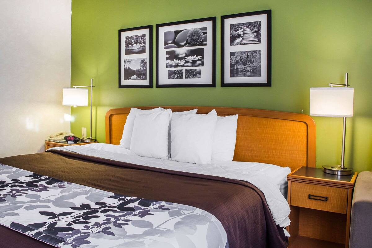 A hotel room with a bed, nightstands, and a green wall with framed pictures.
